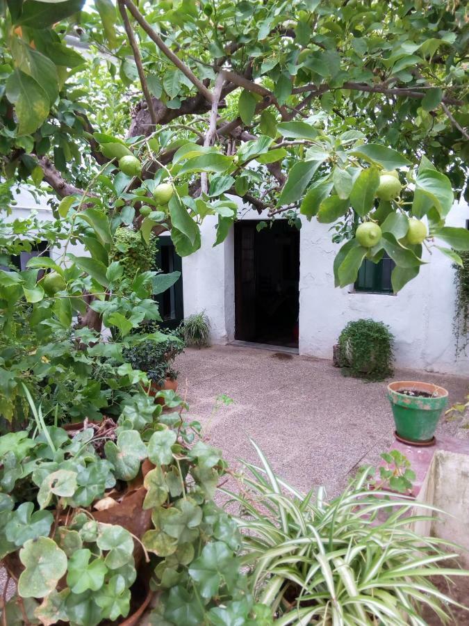 Las Jimenas Higuera De La Sierra  Bagian luar foto